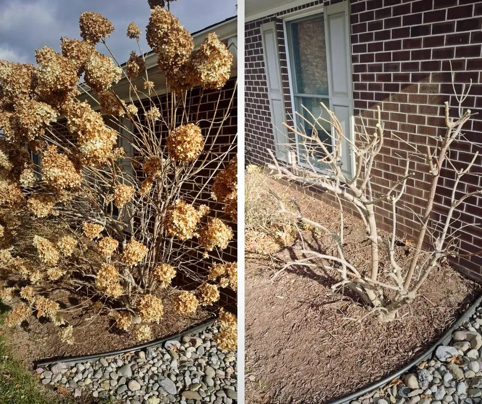 Professional landscaping services in New Oxford, PA - Final Grade Excavation & Tree Service