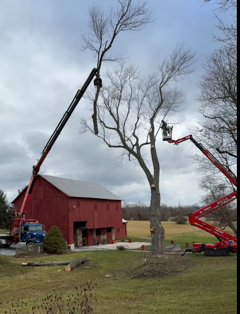 Local landscape design near you across New Oxford, PA - Final Grade Excavation & Tree Service