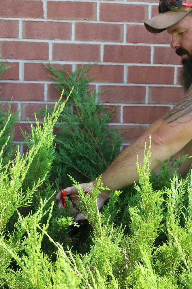 Expert landscaping services experts serving New Oxford, PA - Final Grade Excavation & Tree Service