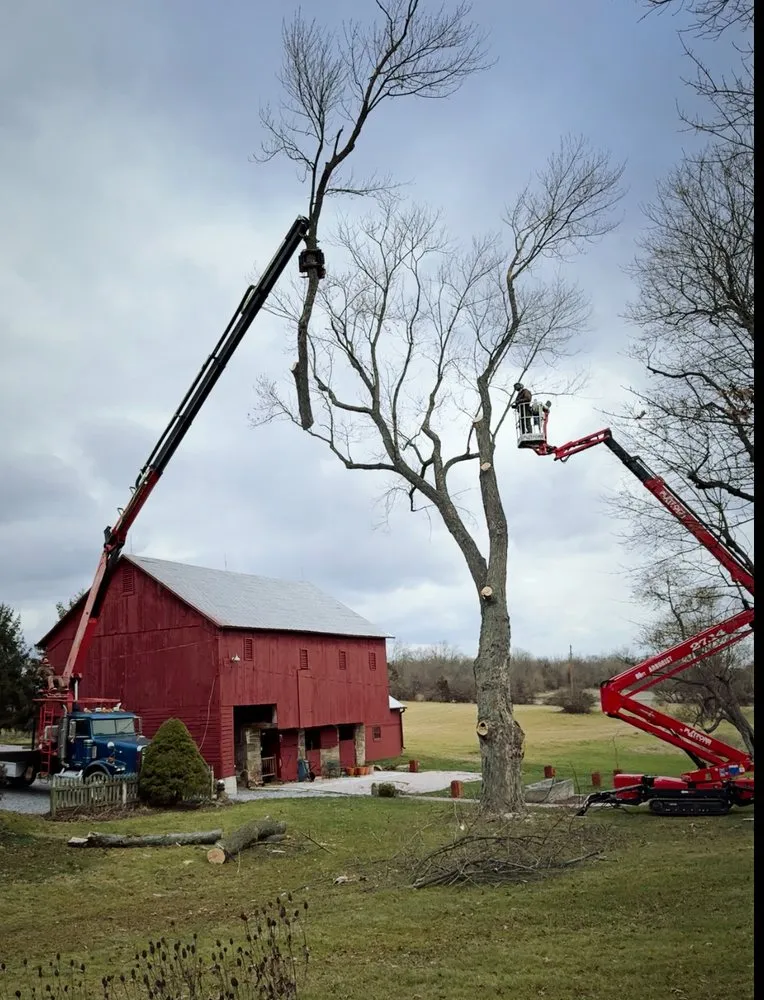 Top-rated outdoor landscaping for year-round maintenance across New Oxford, PA - Final Grade Excavation & Tree Service