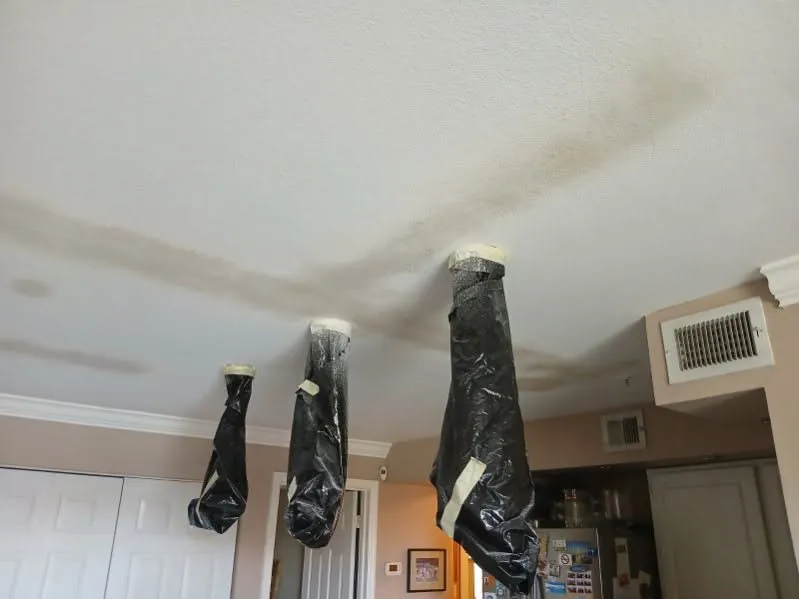 Expert lawn mowing service for year-round maintenance in Trinity, FL by Final Residential Detail