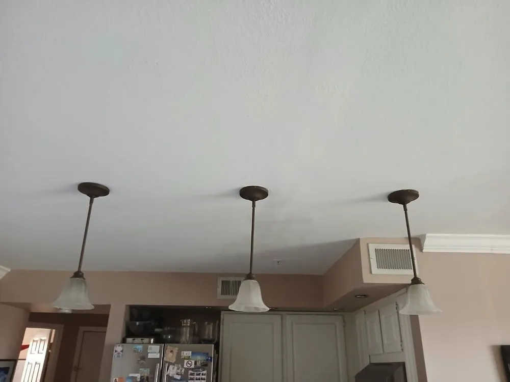 Trusted landscaping services for beautiful yards in Trinity, FL by Final Residential Detail