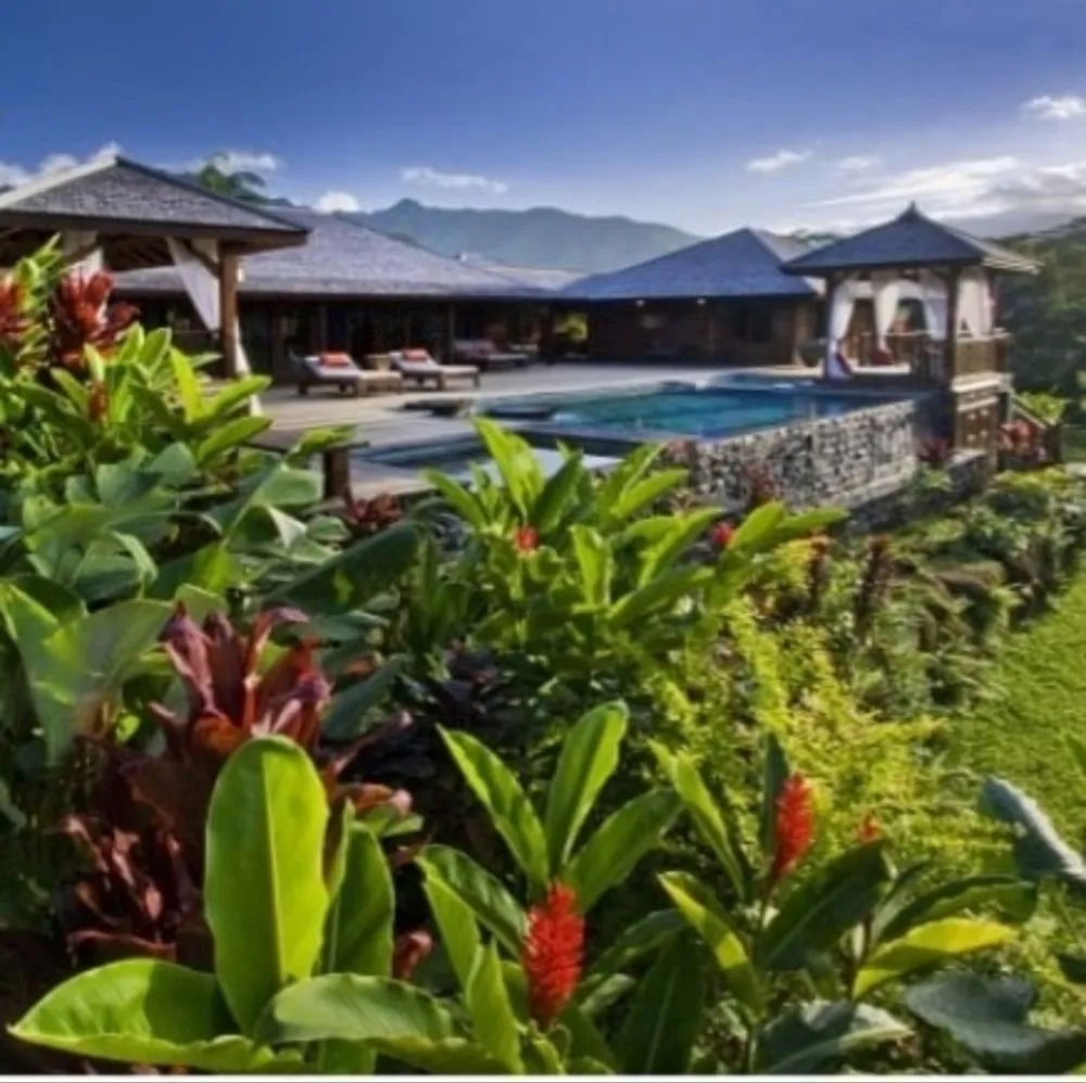 Professional yard cleanup service in Kapaa, HI by Final Touch