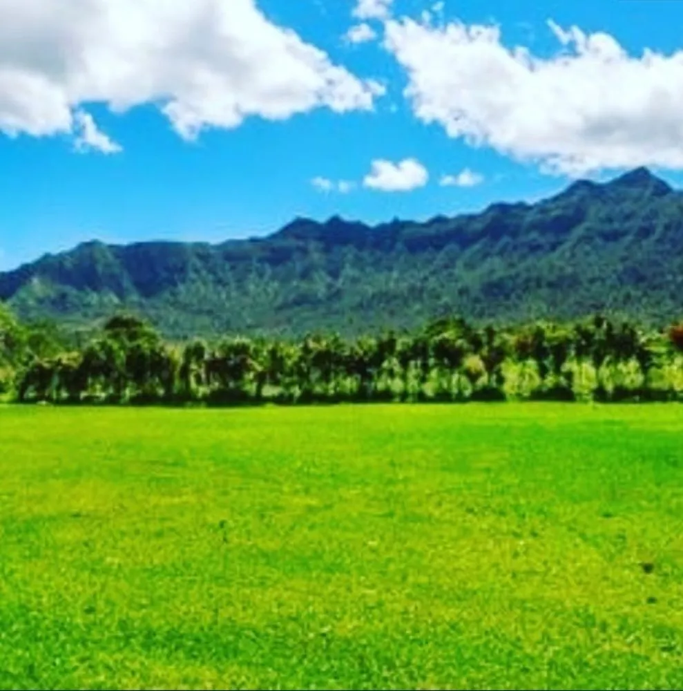 Local landscape design for outdoor upgrades in Kapaa, HI by Final Touch