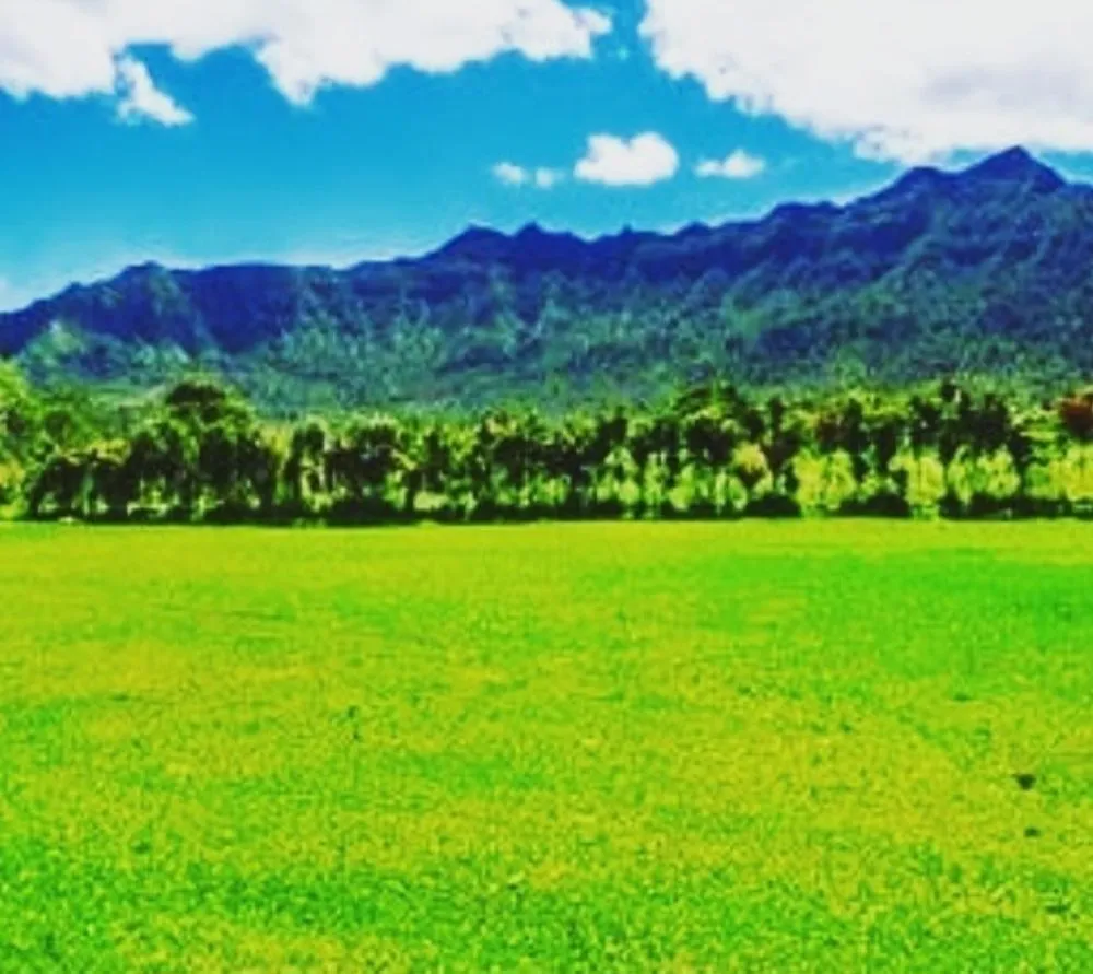 Trusted landscape design for beautiful yards in Kapaa, HI by Final Touch
