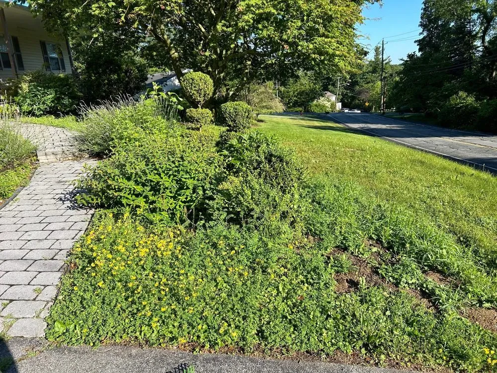 Top-rated lawn care service experts serving Monroe, NY - Final Touch Landscape and Construction