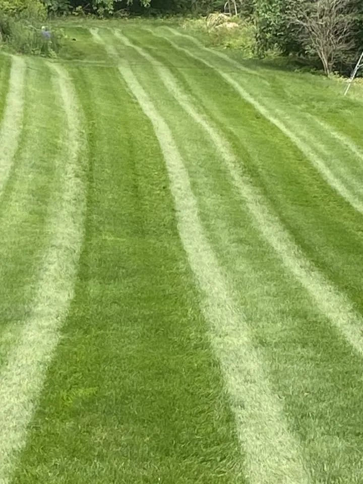 Expert yard cleanup service experts serving Acton, ME - Final Touch Landscaping