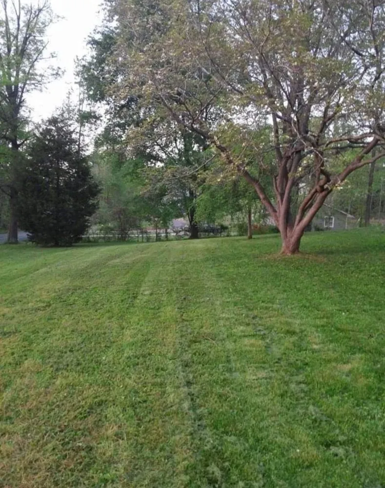 Professional landscape installation experts serving Glen Burnie, MD - Final Touch Landscaping And Hauling