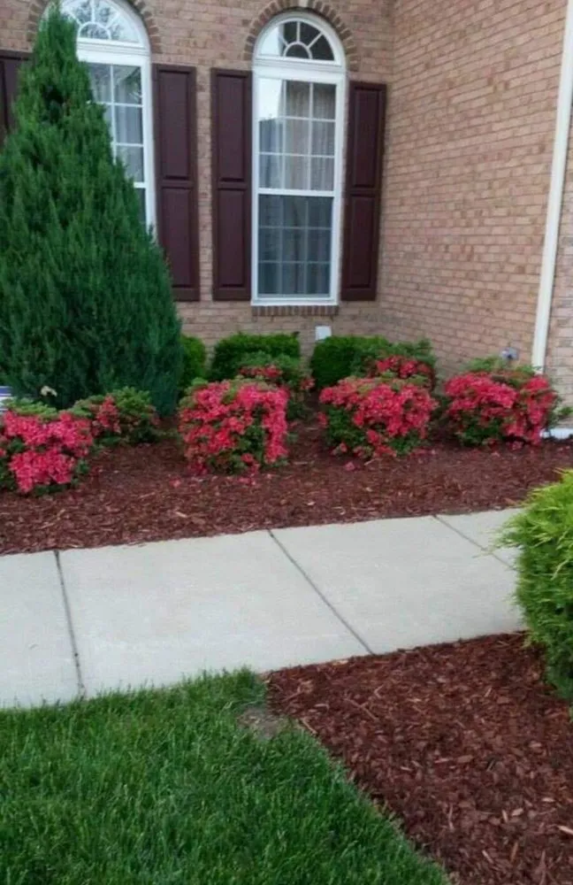Professional yard cleanup service in Glen Burnie, MD by Final Touch Landscaping And Hauling