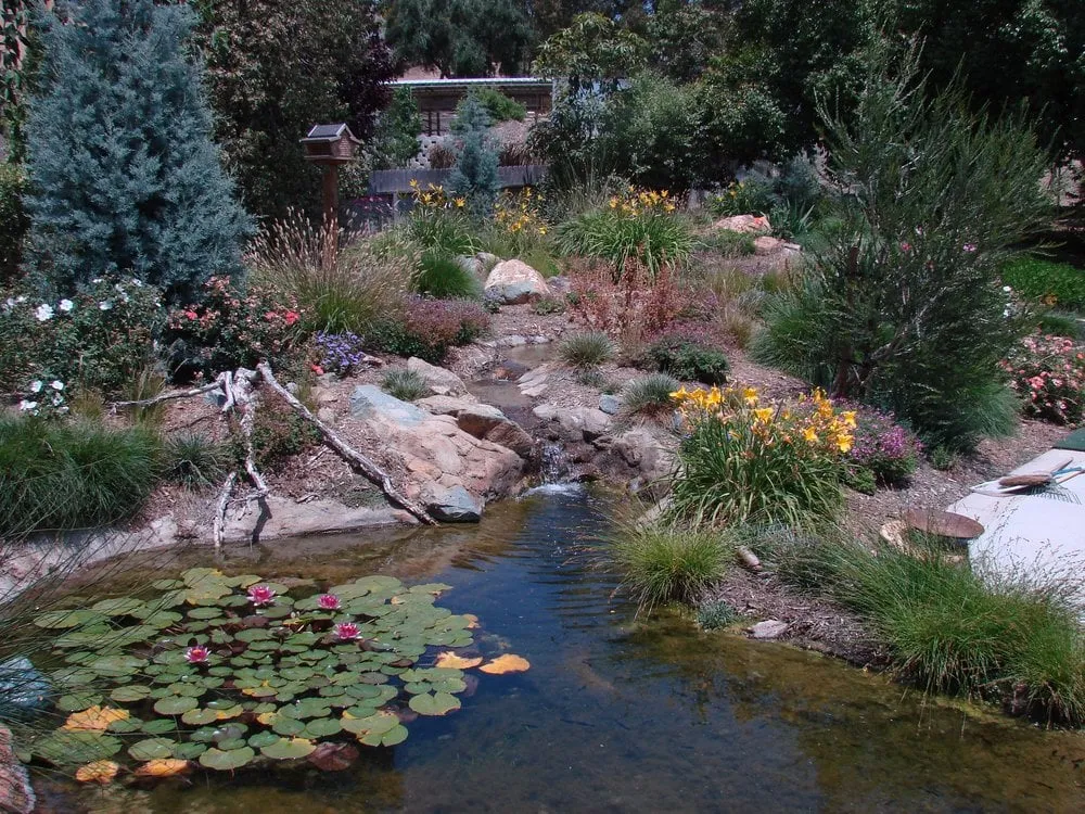 Local landscape design in Vista, CA - Final Touch Landscaping