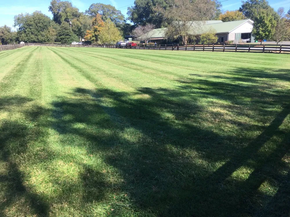 Affordable outdoor landscaping in Stallings, NC by Final Touch Lawn Applications