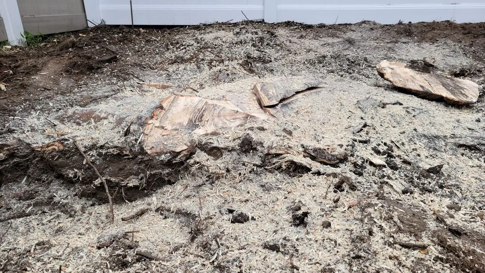 Reliable garden landscaping experts serving Haledon, NJ - Final Touch Tree Services