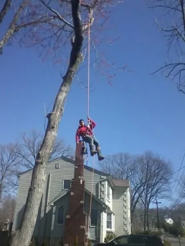 Reliable lawn care service for outdoor upgrades in Haledon, NJ by Final Touch Tree Services