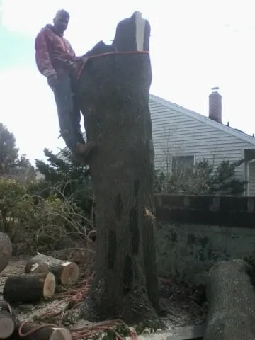 Top-rated lawn care service in Haledon, NJ - Final Touch Tree Services