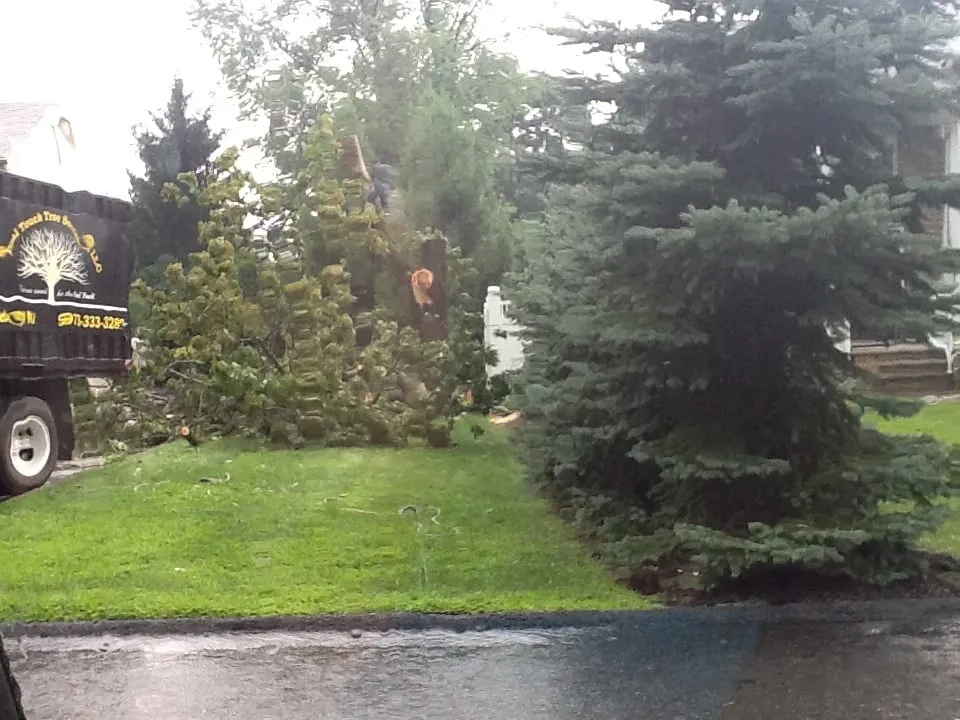 Top-rated outdoor landscaping in Haledon, NJ - Final Touch Tree Services