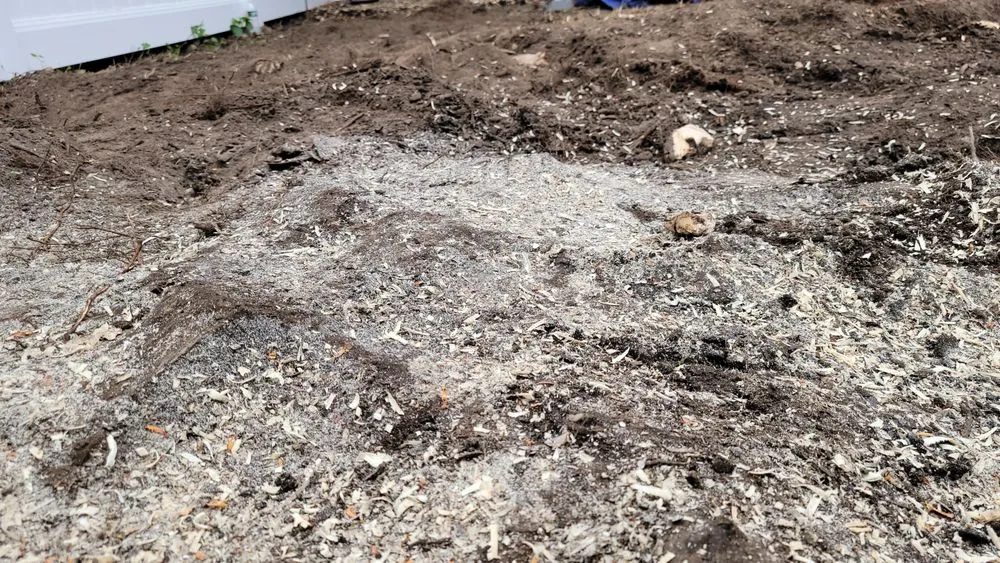 Affordable landscaping services in Haledon, NJ - Final Touch Tree Services