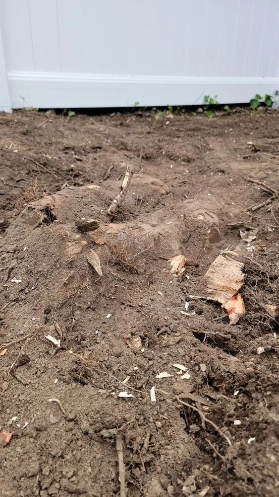 Custom landscape design in Haledon, NJ - Final Touch Tree Services