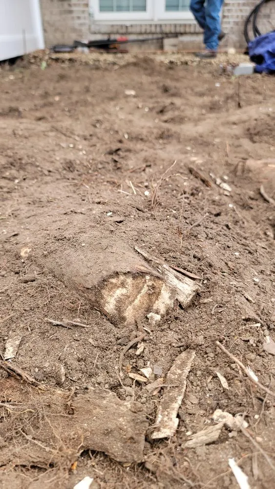 Top-rated yard cleanup service in Haledon, NJ by Final Touch Tree Services