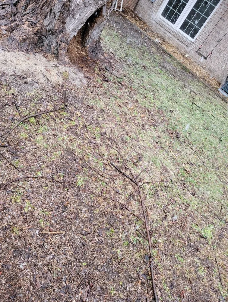 Custom lawn mowing service in Haledon, NJ by Final Touch Tree Services