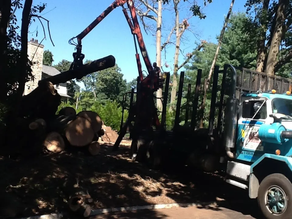 Local landscape design in Haledon, NJ by Final Touch Tree Services