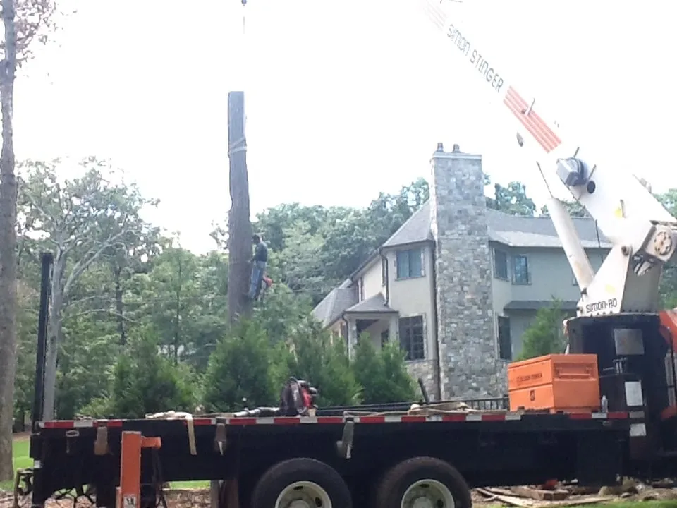 Trusted yard cleanup service in Haledon, NJ by Final Touch Tree Services