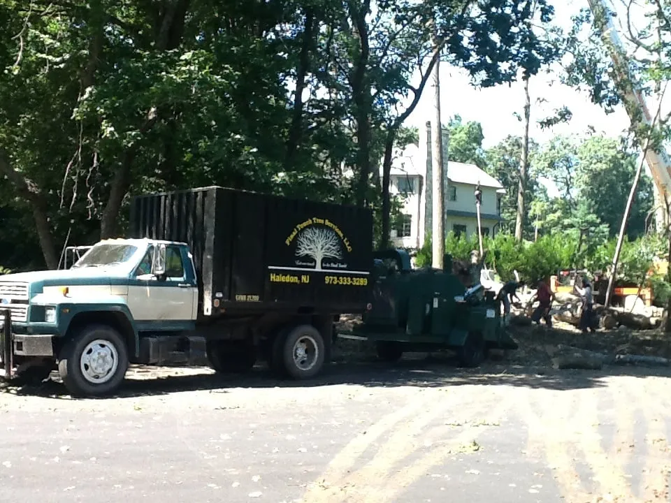 Affordable garden landscaping with custom design across Haledon, NJ - Final Touch Tree Services