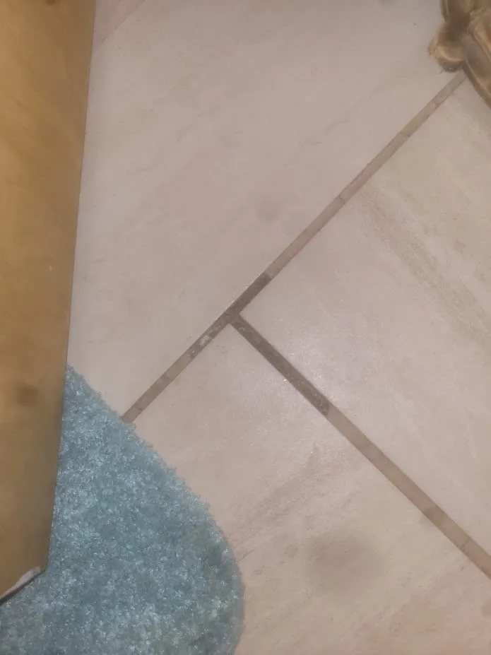 Affordable garden landscaping near you in Gladstone, MO by Finally Finished