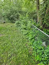 Expert yard cleanup service with custom design in Gladstone, MO by Finally Finished