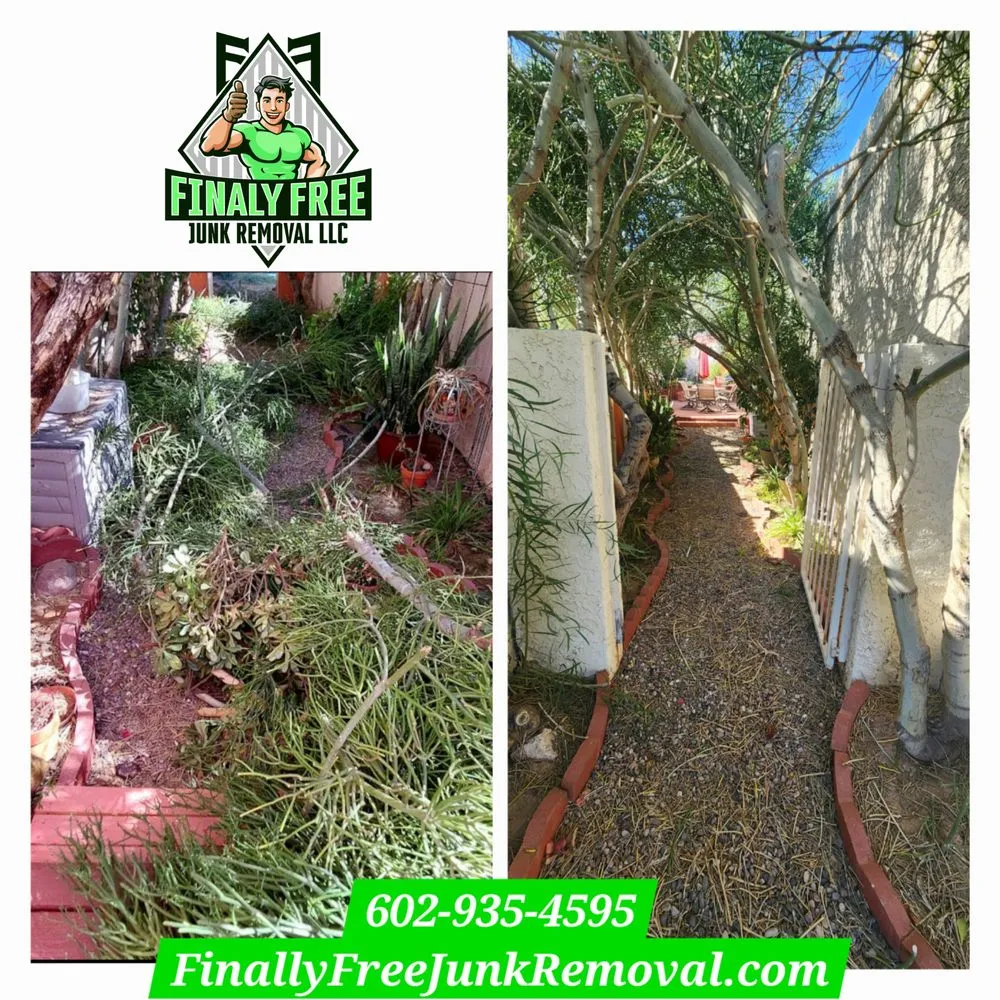 Expert landscape design for year-round maintenance across Phoenix, AZ - Finally Free Junk Removal