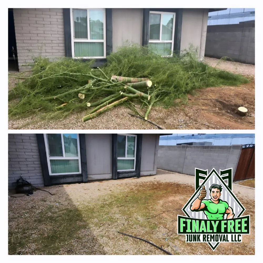 Expert yard maintenance in Phoenix, AZ - Finally Free Junk Removal