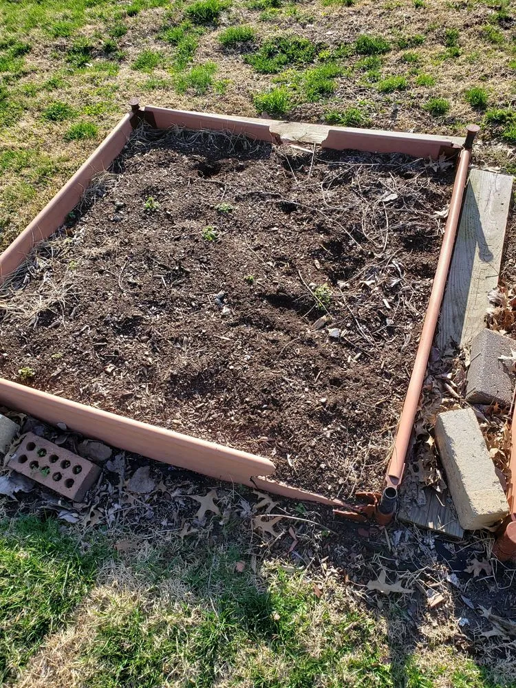 Top-rated landscape installation in Granite City, IL - Finazzo's Tree Service