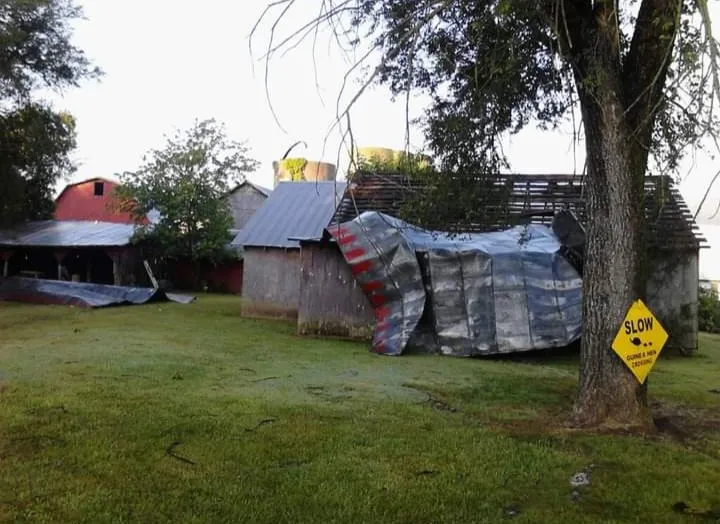 Reliable lawn mowing service in Madison Heights, VA - Fincham's Home and Auto Repair