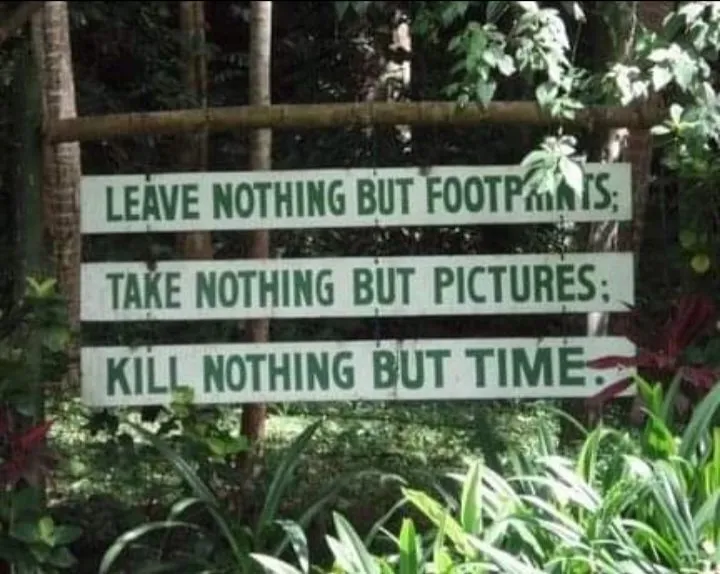 Trusted yard cleanup service experts serving Madison Heights, VA - Fincham's Home and Auto Repair