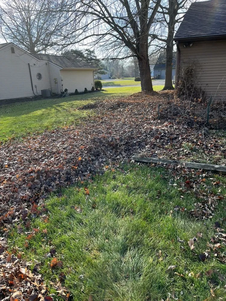 Expert yard maintenance in Fort Wayne, IN - Finchers Services