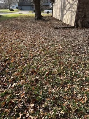 Finchers Services Logo