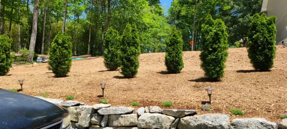Affordable residential landscaping experts serving Flat Rock, NC - Finch's Landscaping