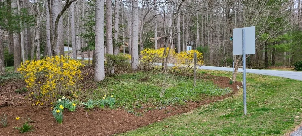 Top-rated landscaping services experts serving Flat Rock, NC - Finch's Landscaping