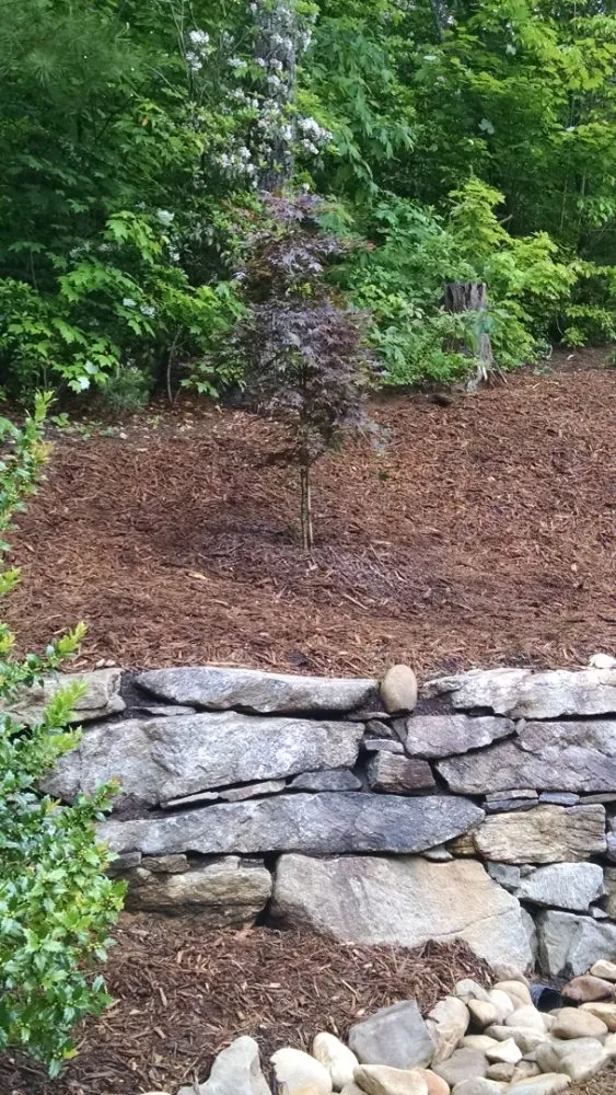 Trusted lawn mowing service in Flat Rock, NC by Finch's Landscaping