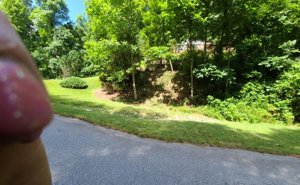 Affordable landscaping services in Flat Rock, NC - Finch's Landscaping