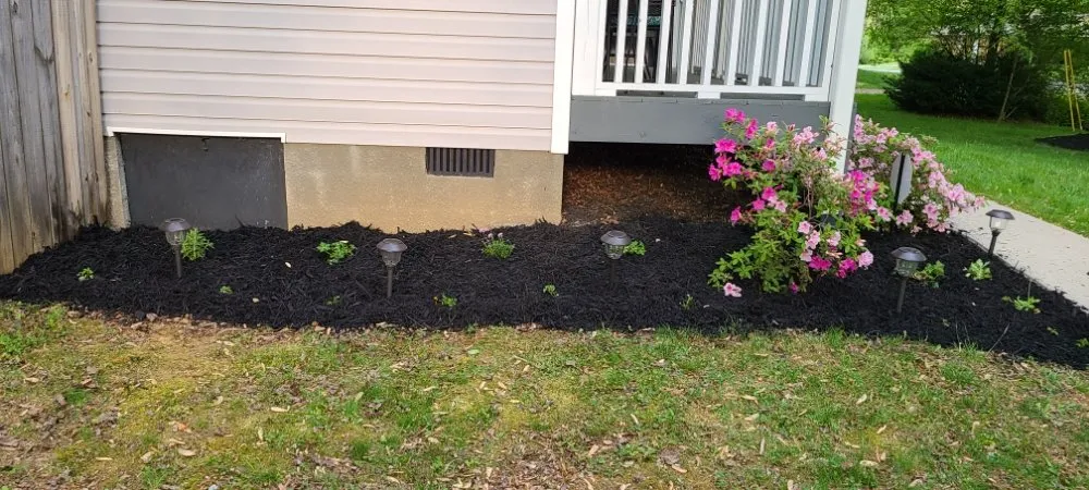 Affordable yard cleanup service for homes in Flat Rock, NC by Finch's Landscaping