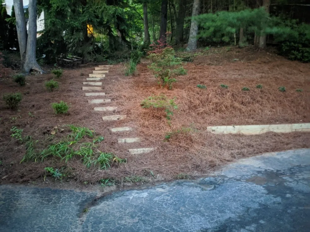 Professional yard cleanup service experts serving Flat Rock, NC - Finch's Landscaping