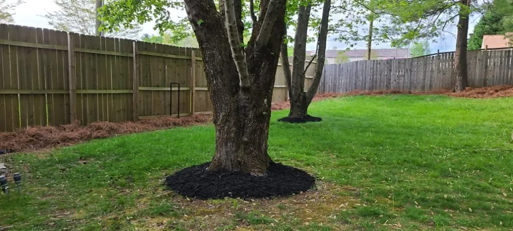 Reliable landscape installation in Flat Rock, NC by Finch's Landscaping