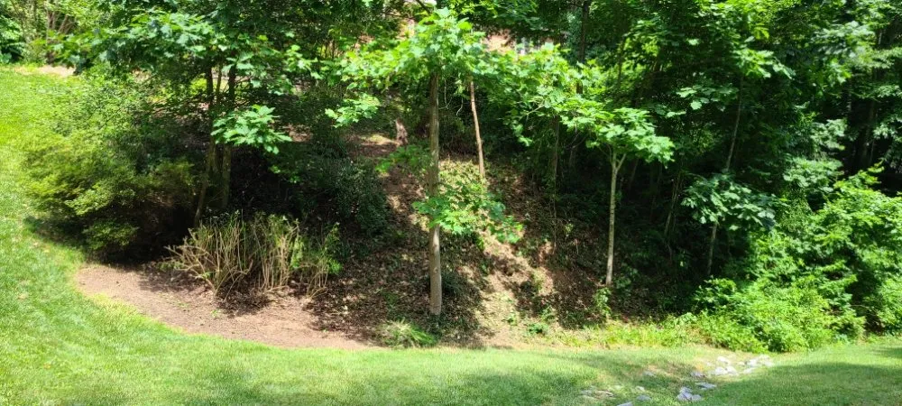 Affordable residential landscaping for beautiful yards in Flat Rock, NC by Finch's Landscaping