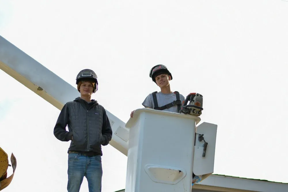 Trusted lawn care service experts serving Mobile, AL - Finch’s Tree Service