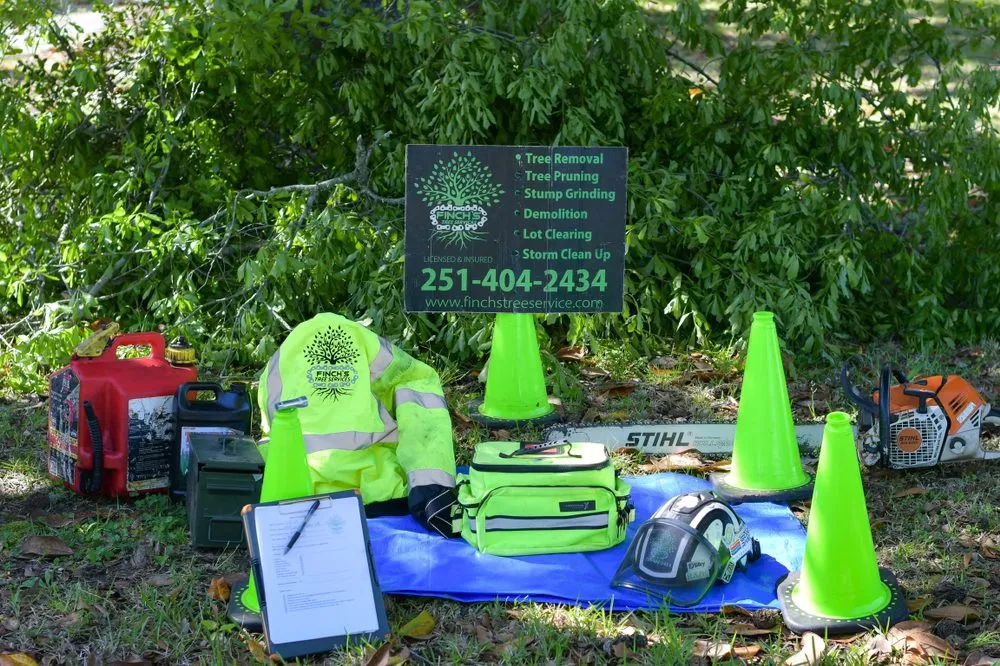 Reliable landscaping services in Mobile, AL by Finch’s Tree Service