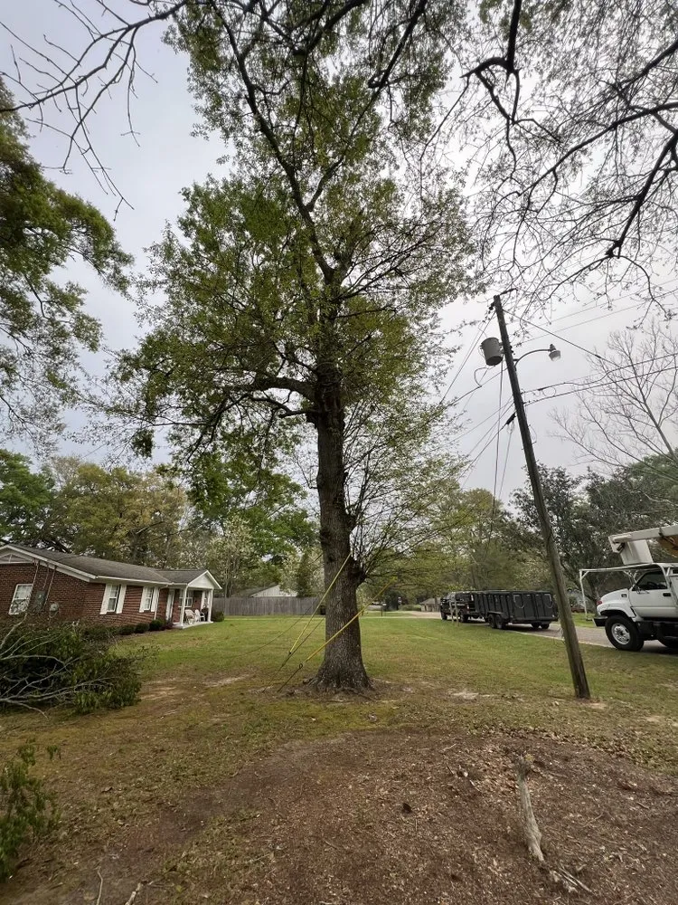 Custom landscaping services in Mobile, AL by Finch’s Tree Service