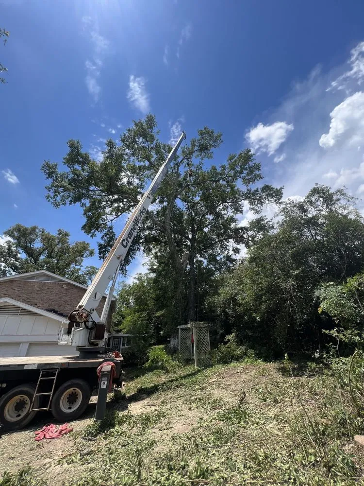 Custom landscape installation in Mobile, AL - Finch’s Tree Service