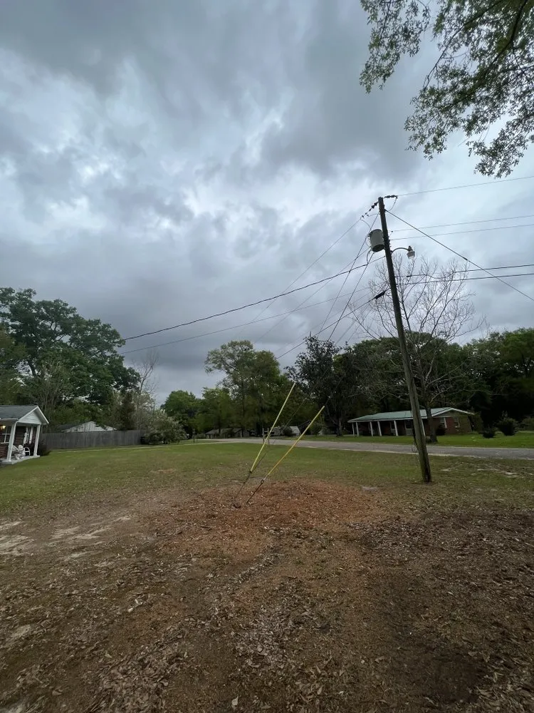 Local residential landscaping experts serving Mobile, AL - Finch’s Tree Service
