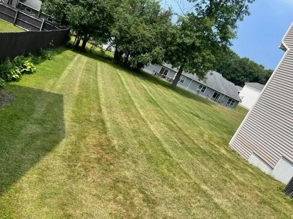 Local lawn care service experts serving Oswego, NY - Fine Cut Construction & Lawnscapes