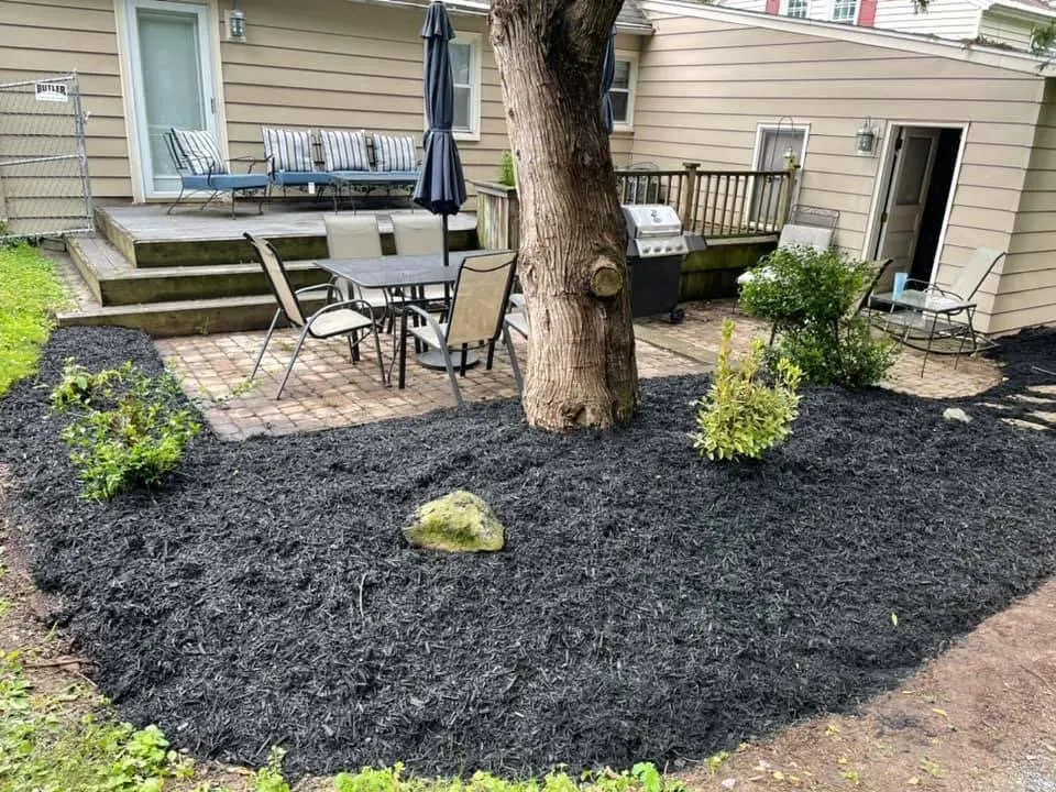 Reliable lawn care service in Oswego, NY by Fine Cut Construction & Lawnscapes